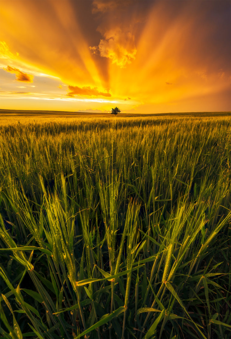 20220707-_DSC6395-Edit