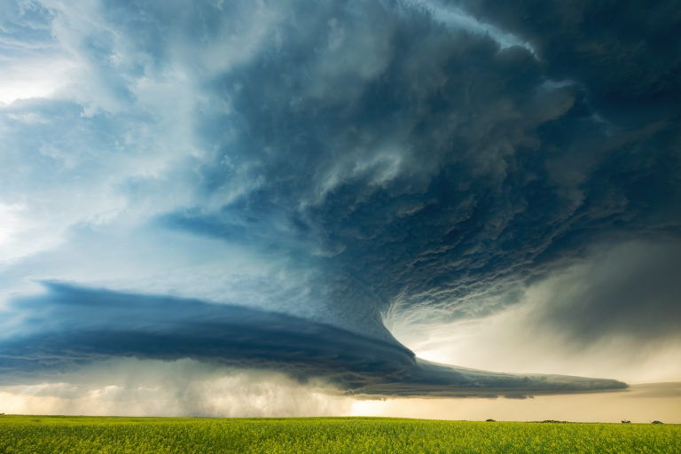 large supercell thunderstorm over a canola field in saskatchewan
