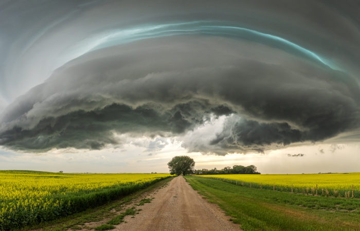 A supercell thunderstorm over a lone tree in saskatchewan