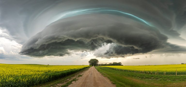 A supercell thunderstorm over a lone tree in saskatchewan