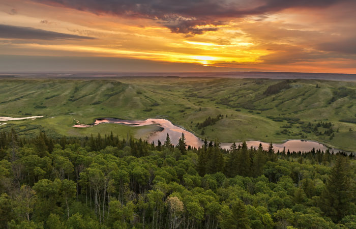 A landscape photograph overlooking cypress hills provincial park