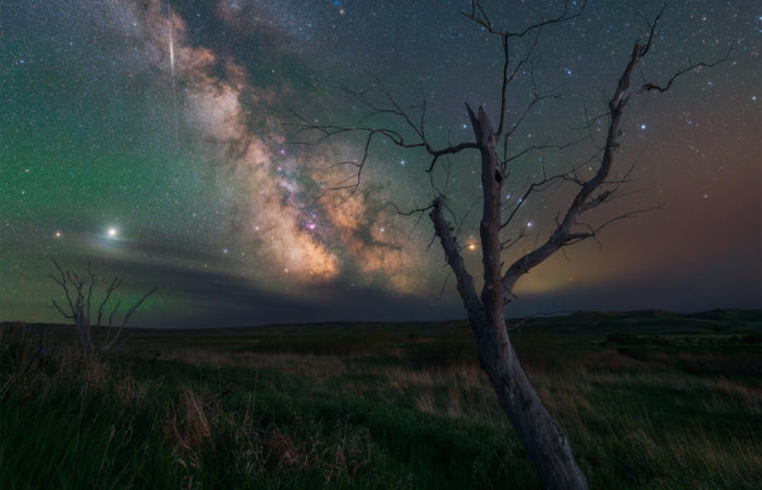 Night photography of the milky way and trees in Grasslands National Park