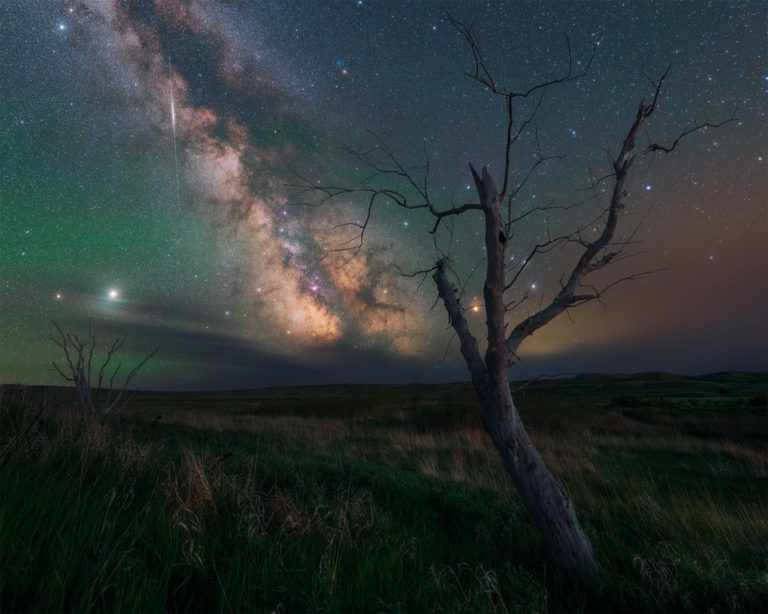 Night photography of the milky way and trees in Grasslands National Park