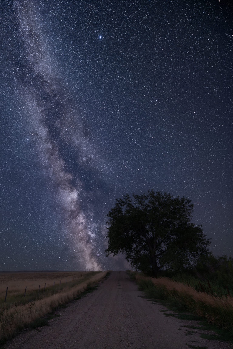 milky way photograph and lone tree in saskatchewan