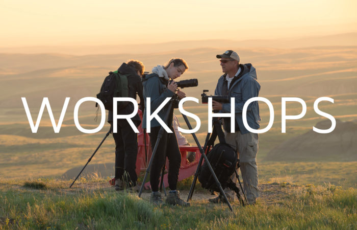 Photography workshop clients at Grasslands National Park at sunset